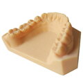 DENTAL model resin - żywica do modelowania zębów eSUN 1 kg