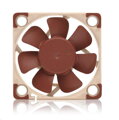 NOCTUA NF -A4X10 FLX - Silent Fan