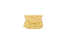 DENTAL model resin - żywica do modelowania zębów eSUN 1 kg
